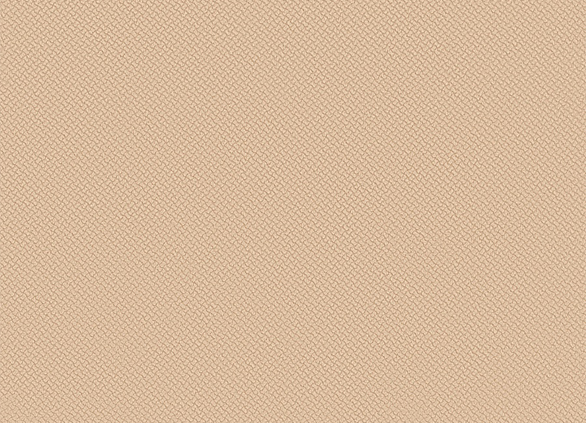 Блитц Беж Вр3.02